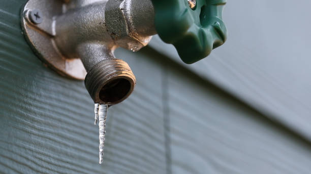 Best Local Plumber Services  in Avalon, NJ